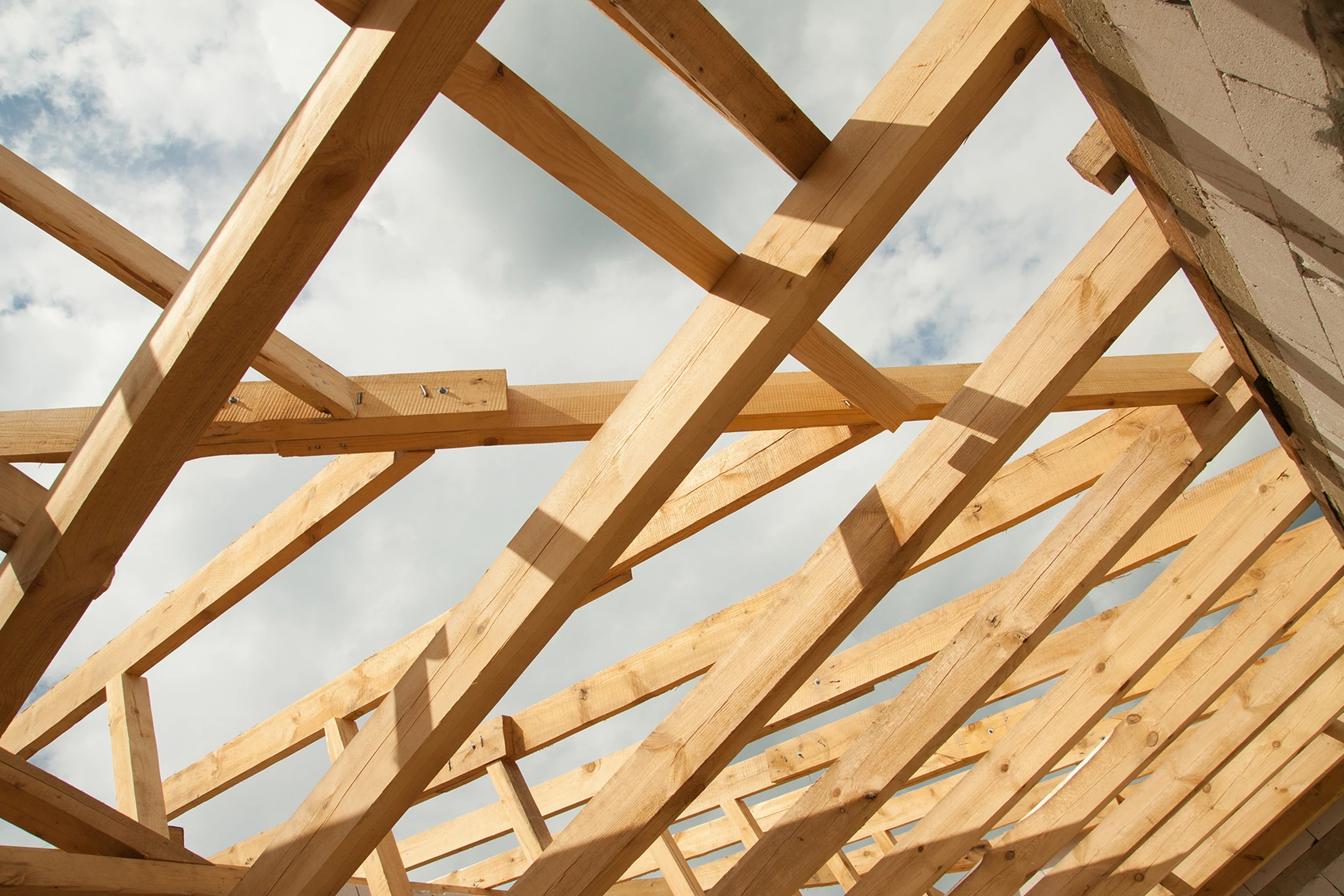 VÁŠ SPECIALISTA NA DŘEVOSTAVBY